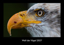 Welt der Vögel Fotokalender 2027 - Hauptbild