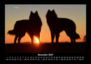 Der Hundekalender Fotokalender 2027 - 11
