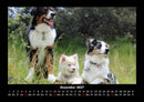 Der Hundekalender Fotokalender 2027 - 12