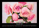 Rosen-Kalender Fotokalender 2027 - 12