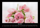 Rosen-Kalender Fotokalender 2027 - 5