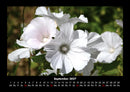 Blumenkalender Fotokalender 2027 - 9
