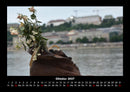 Blumenkalender Fotokalender 2027 - 10