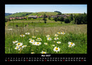 Blumenkalender Fotokalender 2027 - 5