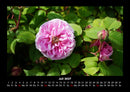 Blumenkalender Fotokalender 2027 - 7