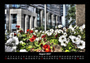 Blumenkalender Fotokalender 2027 - 8