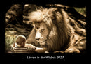 Löwen in der Wildnis Fotokalender 2027 - Hauptbild