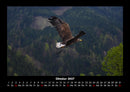 Adler Fotokalender 2027 - 10
