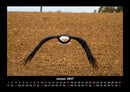 Adler Fotokalender 2027 - 1