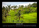 Palmen Fotokalender 2027 - 9