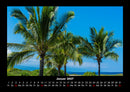 Palmen Fotokalender 2027 - 1