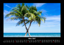 Palmen Fotokalender 2027 - 3