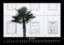 Palmen Fotokalender 2027 - 5