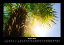 Palmen Fotokalender 2027 - 8