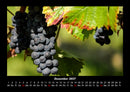 Früchte Fotokalender 2027 - 12