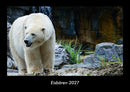Eisbären Fotokalender 2027 - Hauptbild