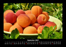 Früchte Fotokalender 2027 - 9