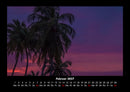Palmen Fotokalender 2027 - 2