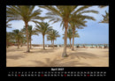 Palmen Fotokalender 2027 - 4