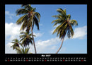 Palmen Fotokalender 2027 - 5
