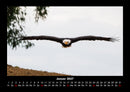 Adler Fotokalender 2027 - 1