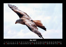Adler Fotokalender 2027 - 5