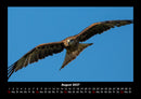 Adler Fotokalender 2027 - 8