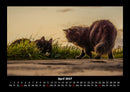 Für Katzenfreunde Fotokalender 2027 - 4