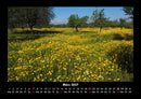 Blumenkalender Fotokalender 2027 - 3
