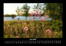 Blumenkalender Fotokalender 2027 - 6