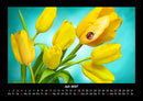 Blumenkalender Fotokalender 2027 - 7