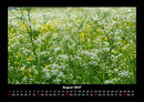 Blumenkalender Fotokalender 2027 - 8