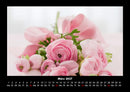 Rosen-Kalender Fotokalender 2027 - 3