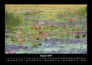 Rosen-Kalender Fotokalender 2027 - 8