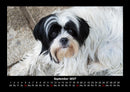 Der Hundekalender Fotokalender 2027 - 9
