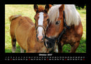 Die Welt der Pferde Fotokalender 2027 - 10