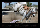 Die Welt der Pferde Fotokalender 2027 - 8