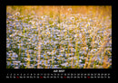 Bilder der Natur Fotokalender 2027 - 7