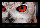Welt der Vögel Fotokalender 2027 - 10