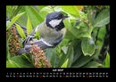 Welt der Vögel Fotokalender 2027 - 7