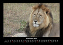 Zoobewohner Fotokalender 2027 - 9