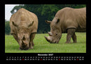 Zoobewohner Fotokalender 2027 - 11