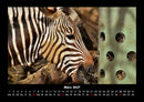 Zoobewohner Fotokalender 2027 - 3