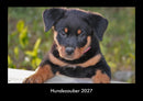 Hundezauber Fotokalender 2027 - Hauptbild