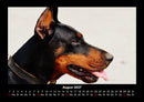 Hundezauber Fotokalender 2027 - 8