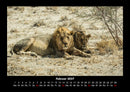Tiere in der Wildnis Fotokalender 2027 - 2