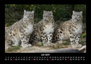 Tiere in der Wildnis Fotokalender 2027 - 7