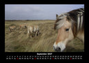Die Welt der Pferde Fotokalender 2027 - 9