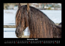 Die Welt der Pferde Fotokalender 2027 - 11
