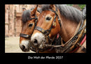 Die Welt der Pferde Fotokalender 2027 - Hauptbild